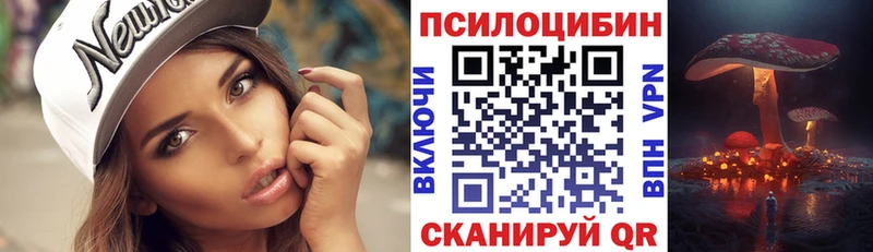 Псилоцибиновые грибы MAGIC MUSHROOMS  наркота  Константиновск 